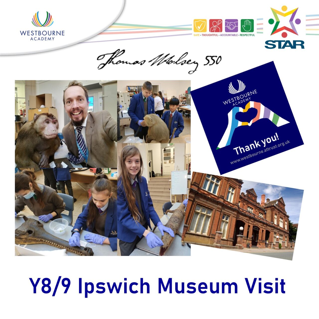 Careers Visit to the Ipswich Museum